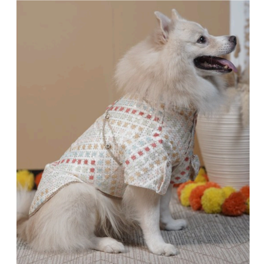 Rangeen Confetti Kurta