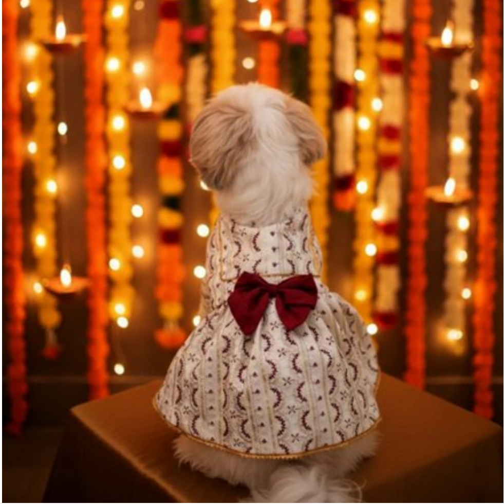 Ruby Starlight Lehenga