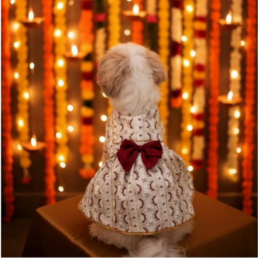 Ruby Starlight Lehenga