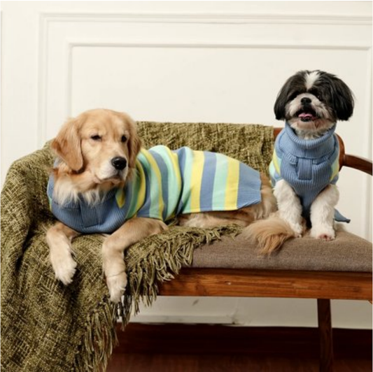 Morning Glow Knit Sweater – Warm Winter Pet Sweater