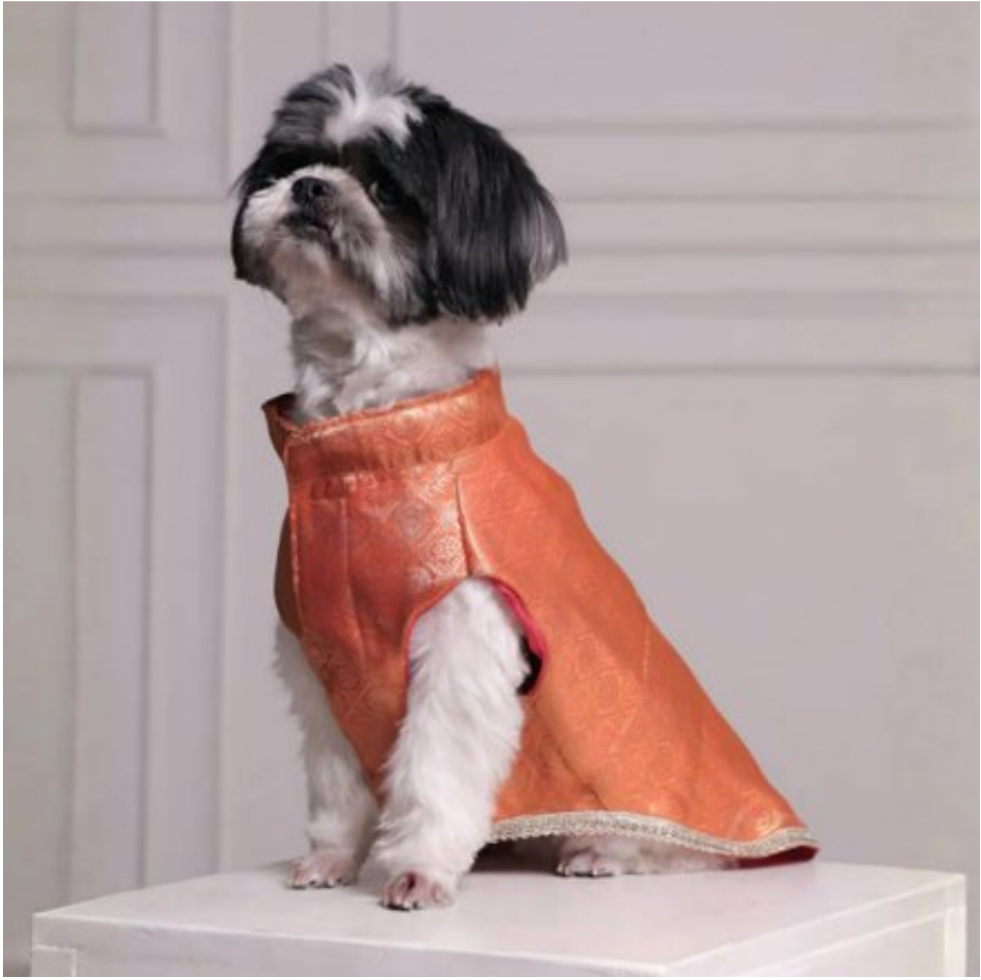Royal Brocade Dog Kurta (Orange)