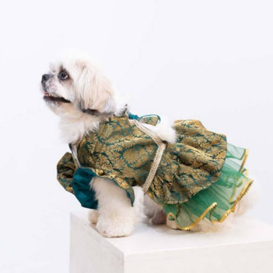 Moss Magic Lehenga
