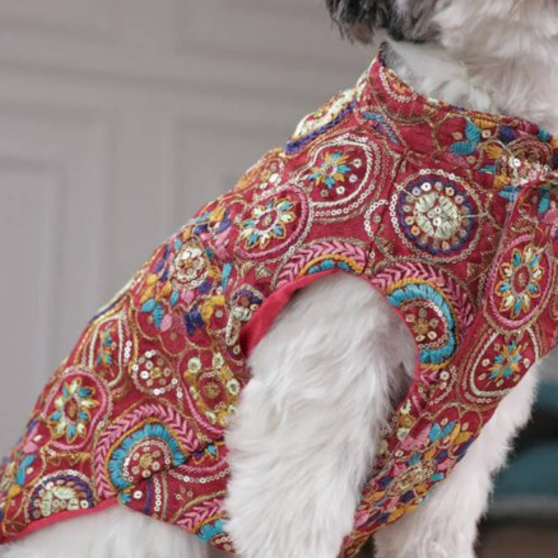 Royal Embroidered Sherwani