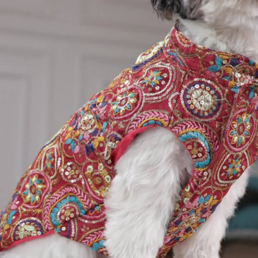 Royal Embroidered Sherwani