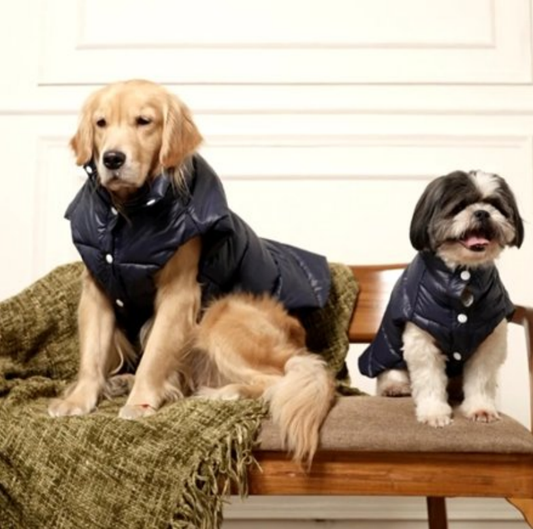 Midnight Puff Jacket – Sleek Blue Winter Pet Jacket