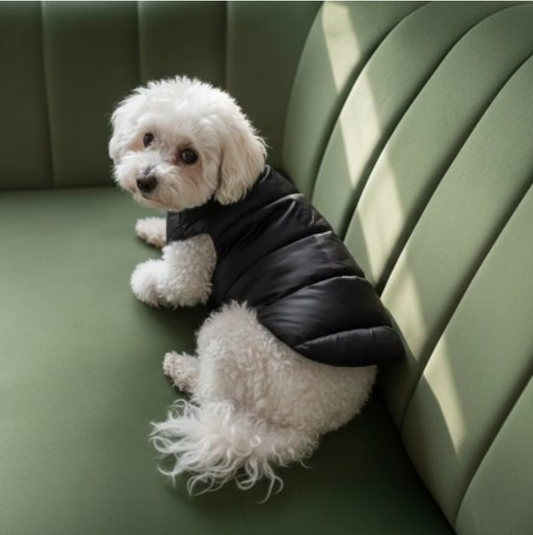 Midnight Puff Black Quilted Jacket