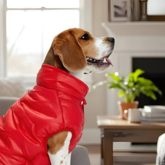Cherry Woof Jacket