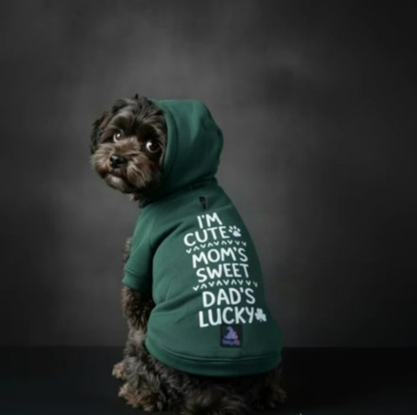 Olive Snug Hoodie