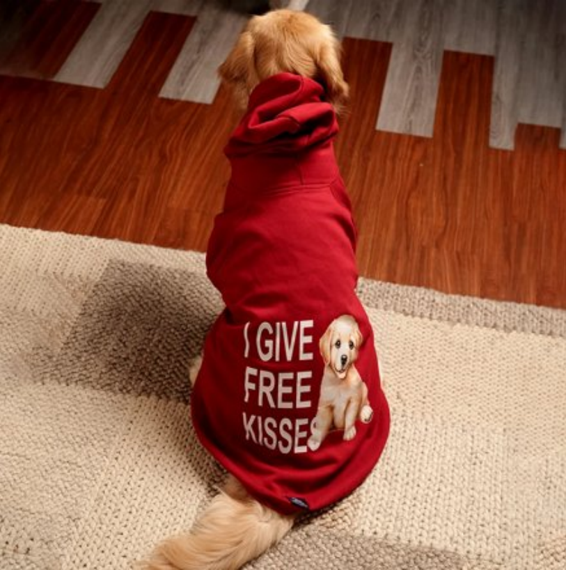 Rudolph Red Hoodie