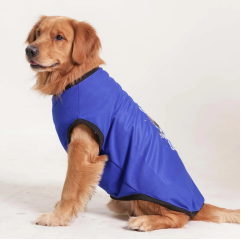 Cute Dog Graphic T-Shirt (Blue)