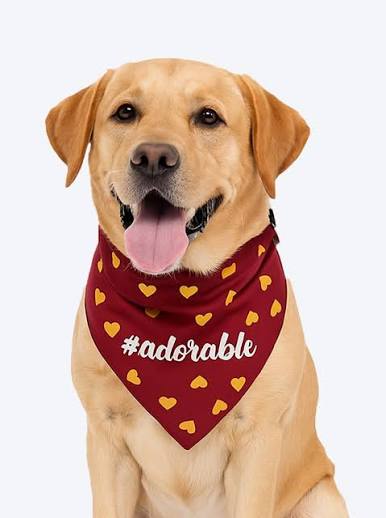 Luxe Bandana (Mix Colour)