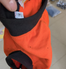 Cute Dog T-Shirt (Orange)
