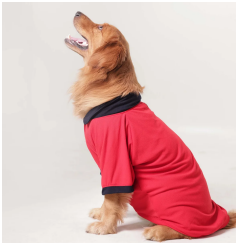 Classic Polycotton Polo T-Shirt (Red)